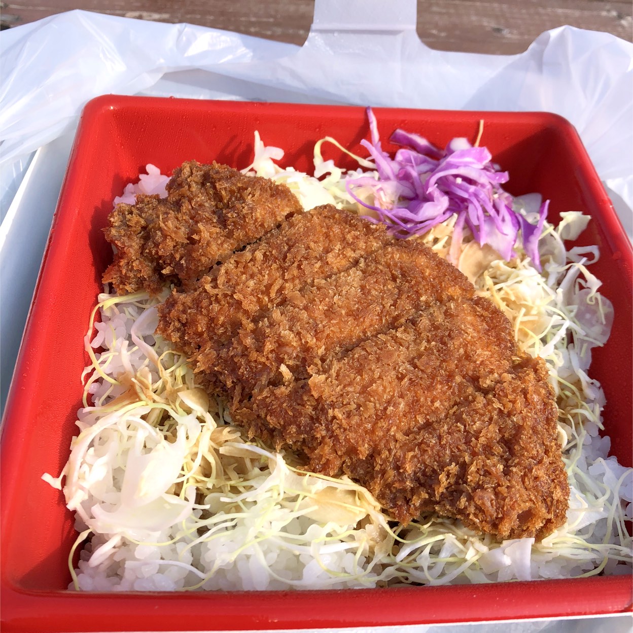 水車 上伊那 駒ケ根 丼もの