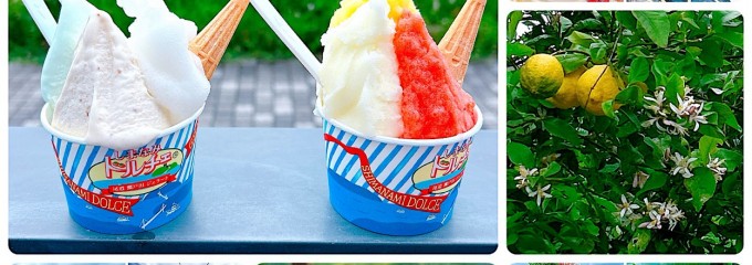 瀬戸田手作りジェラート　ドルチェ 本店