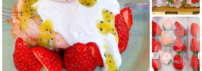 堀内果実園 Land