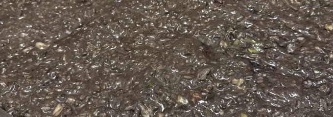 月島もんじゃ くうや すすきの