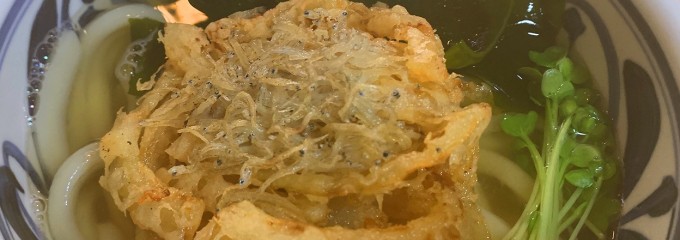 小坪うどん