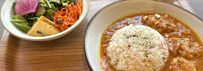 ビタレーザ キッチン