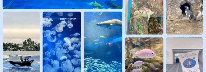 神戸須磨シーワールド