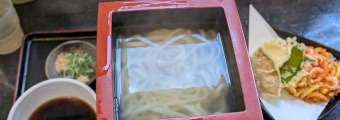 本格手打ちうどん とも作