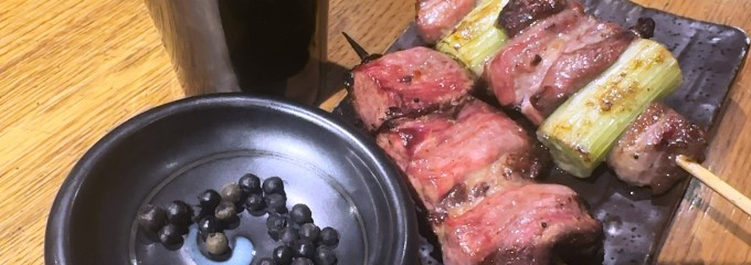 炭火焼鳥 鳥星