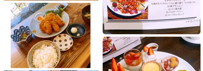 イチゴノトリコ