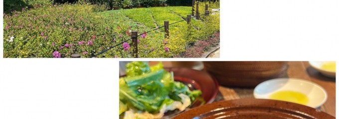 ロイヤルガーデンカフェ 青山店