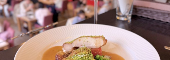 カーブドッチとやの