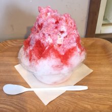 shiosoruさんの写真