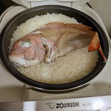 yuka8000さんの写真