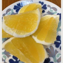 kota_konaさんの写真