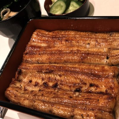 宮川本廛 宮川本店 銀座松屋店 銀座 新橋 有楽町 銀座 うなぎ どじょう 宮川本廛 宮川本店 銀座松屋店 銀座 新橋 有楽町 銀座 うなぎ どじょう