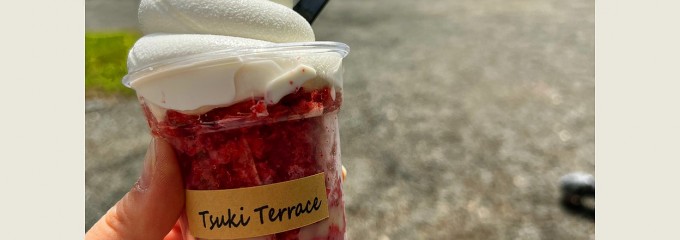 キッチンカー つきてらす