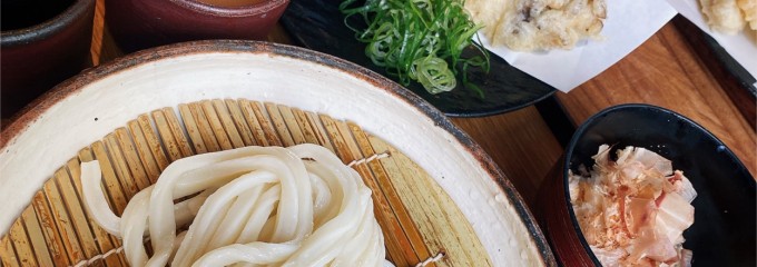 うどん　山長