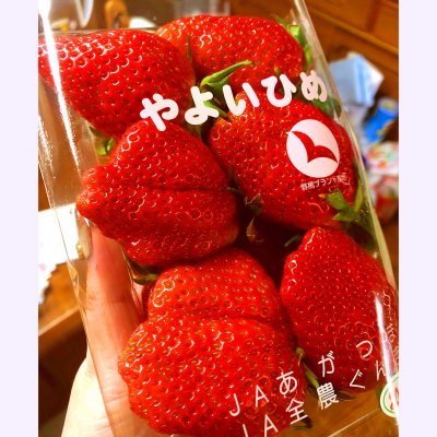 小林君八百屋木崎店 木崎駅 果物