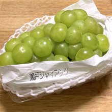 hakobonさんの写真