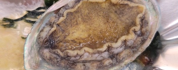 ホテル三河 海陽閣