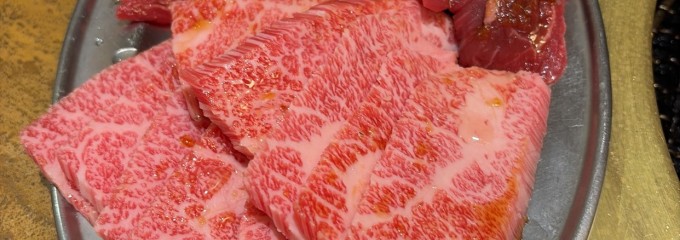 炭火焼肉＆大衆ホルモン 大ちゃん　稲毛海岸店