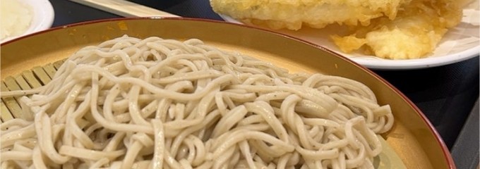 天丼てんや アリオ橋本店