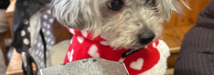 おかげ横丁豚捨