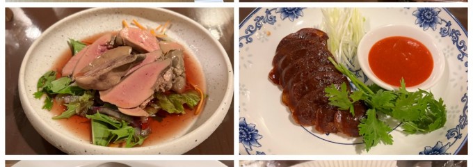 中華銘菜 圳陽