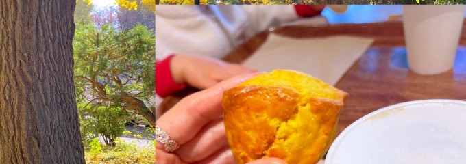 キィニョン 都立多摩図書館店