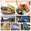 シーガーデン うさぎ 下関 下関 シーガーデン うさぎ 下関 下関