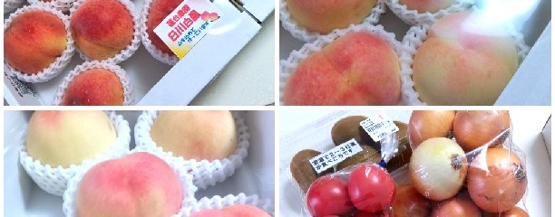 JA紀の里 めっけもん広場