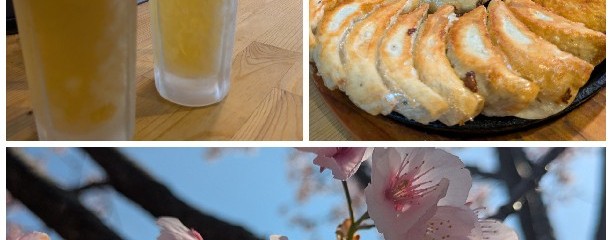 餃子専門店 四一餃子