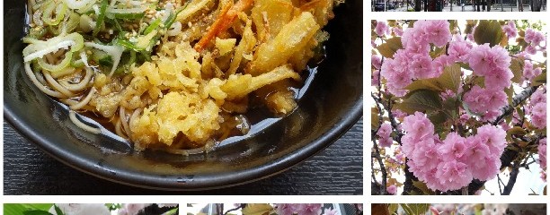 ゆで太郎 豊洲店