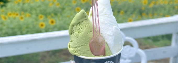 かわばジェラート