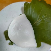 bacabonnさんの写真