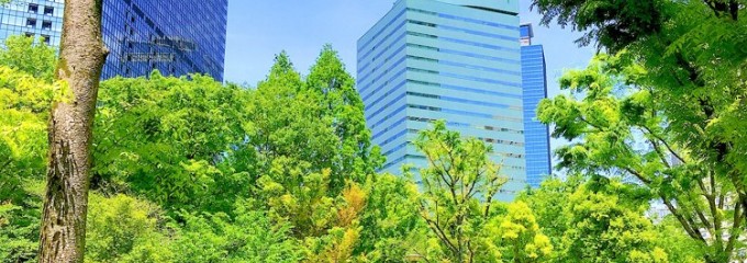 新宿中央公園ランチコーナー