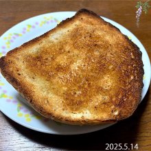 hachy08さんの写真