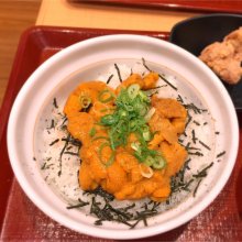 TANUKI_SHIGARAKIさんの写真