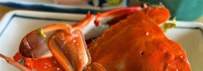 まるは食堂旅館 本店