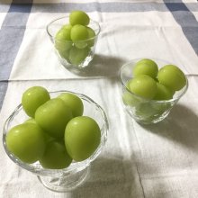 Nonnoelさんの写真