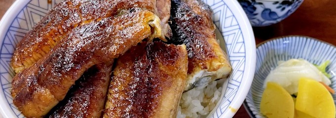 イチビキ