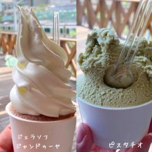 sen141さんの写真
