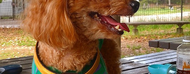 スターバックスコーヒー 三木サービスエリア(下り線)店