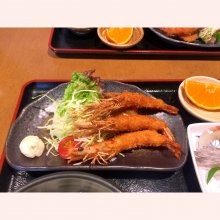 TANUKI_SHIGARAKIさんの写真