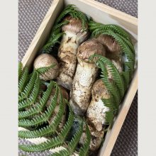 senamtmさんの写真