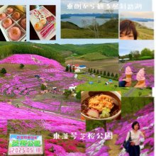 TANPOPO1さんの写真