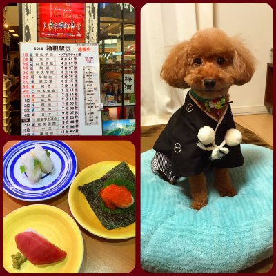 無添くら寿司 高島平店 寿司 無添くら寿司 高島平店 寿司