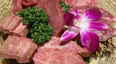 焼肉トラジ 国立店 国立駅 焼肉 ホルモン