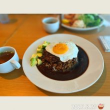 kikunotsukiさんの写真