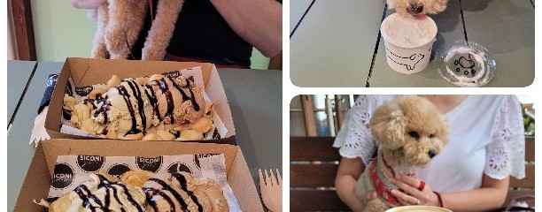 SICONI GELATO