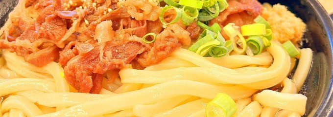 将八うどん