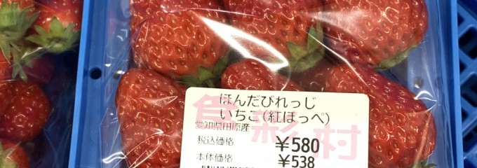 道の駅 とよはし