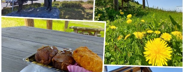 道の駅 いいで(めざみの里観光物産館)